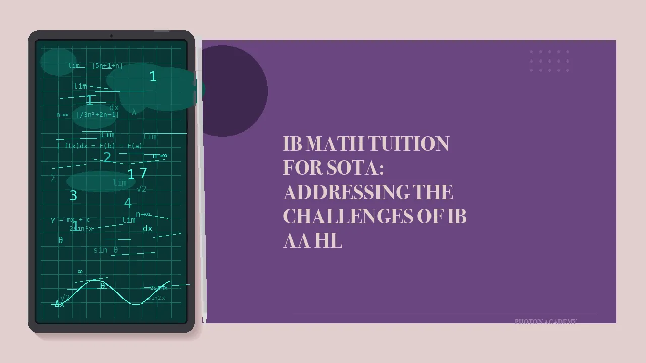 IB Math tuition for SOTA students